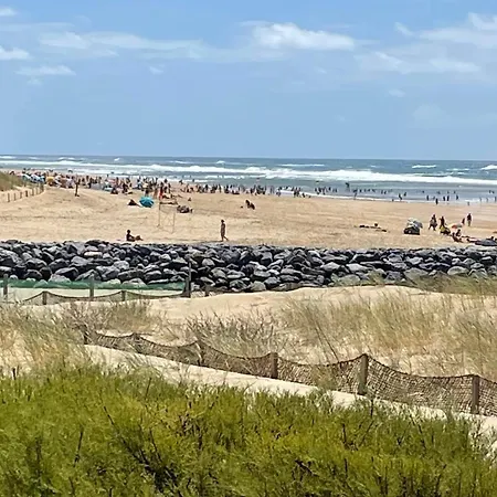 Cap Ocean-8 By Interhome Lägenhet Mimizan-Plage