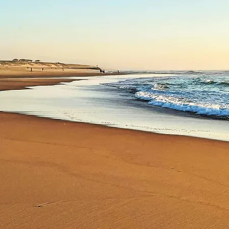 Cap Ocean-8 By Interhome Appartement *