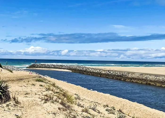 Cap Ocean-8 By Interhome Mimizan-Plage